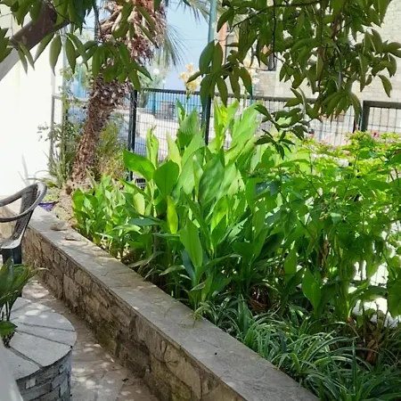 γοργονα Apartamento *